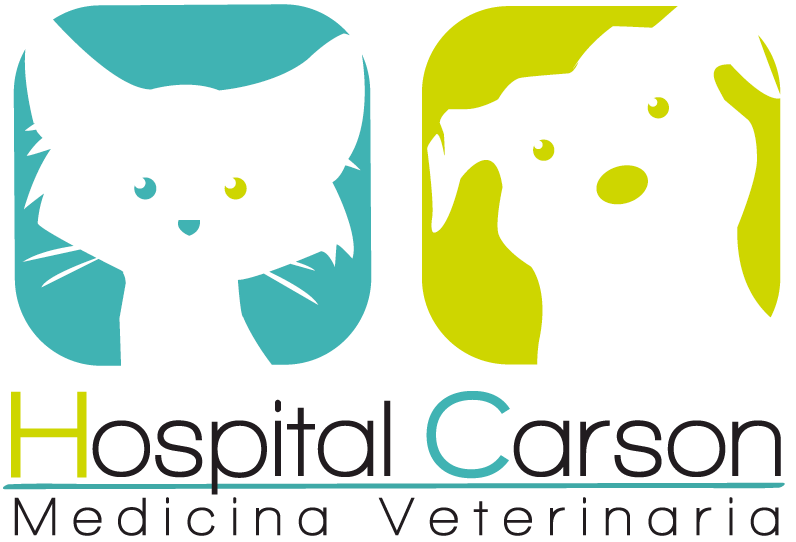 Logotipo de Hospital Veterinario Carson